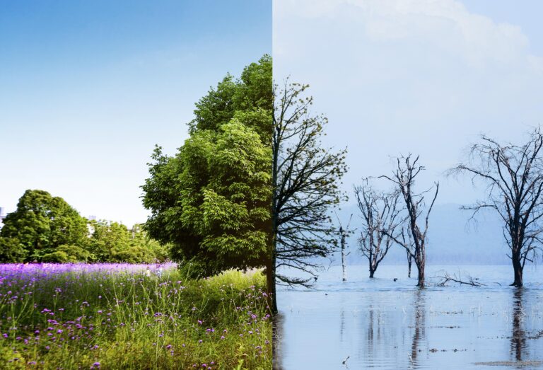 Face aux aléas climatiques : FNSEA et JA répondent présents aux côtés des agriculteurs victimes !